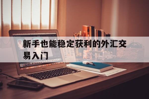 关于新手也能稳定获利的外汇交易入门的信息